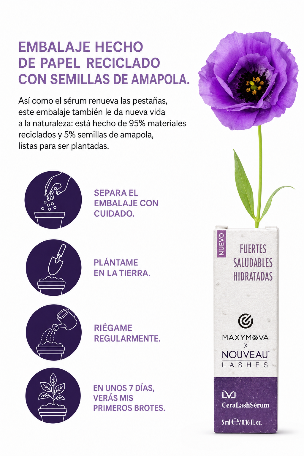 SET 10 CERA LASH SERUM - SÉRUM PARA PESTAÑAS Y CEJAS, MAXYMOVA PARA NUEVAS PESTAÑAS
